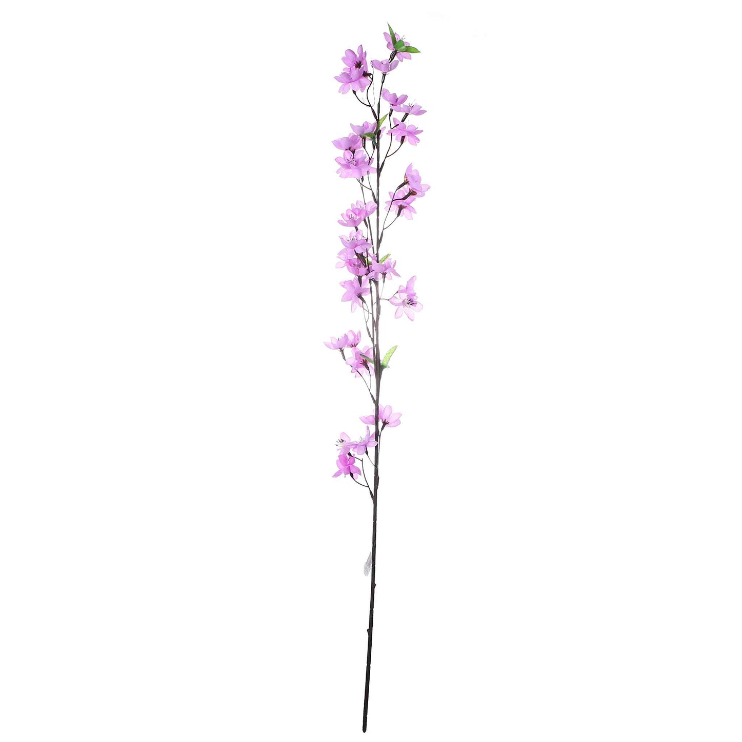Flower Blossom