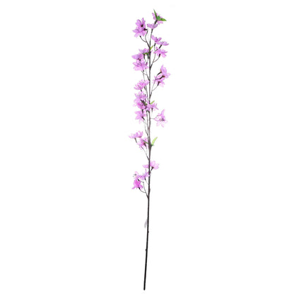Flower Blossom