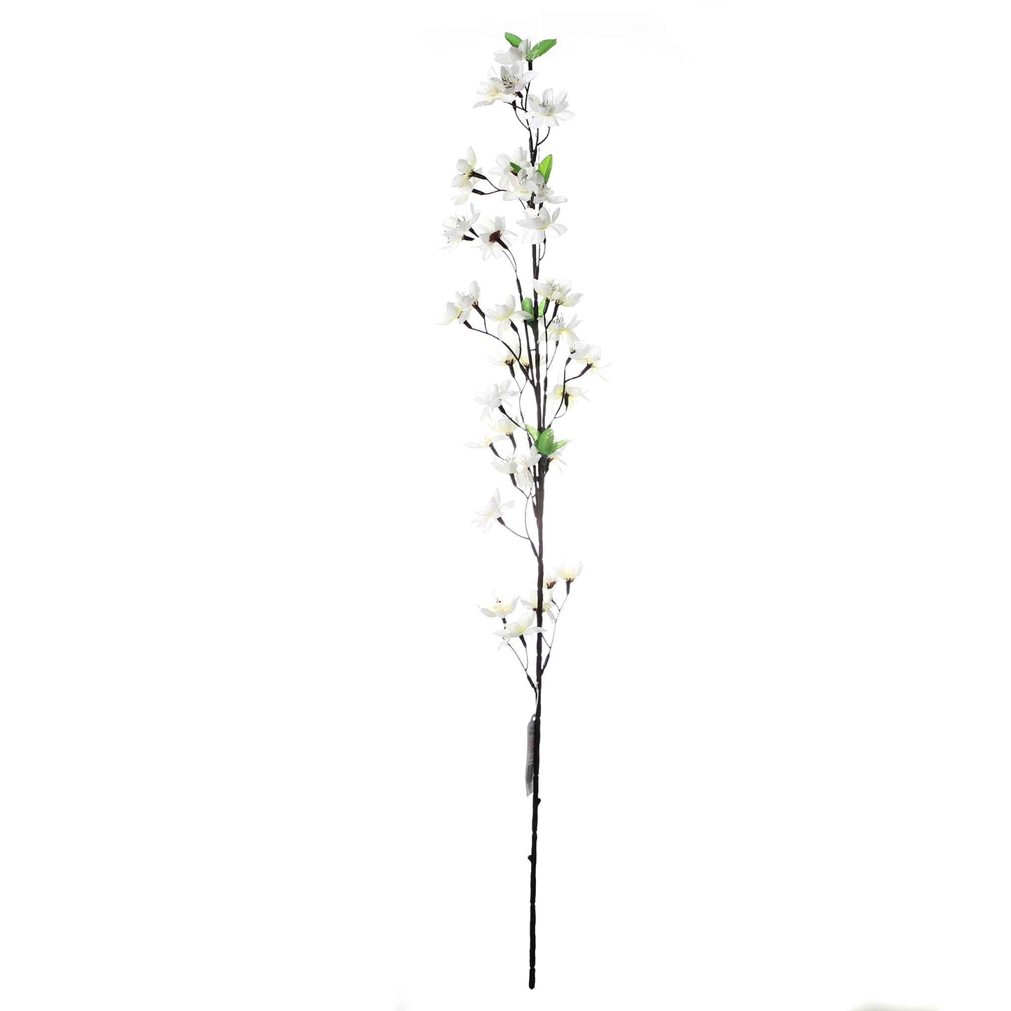 Flower Blossom