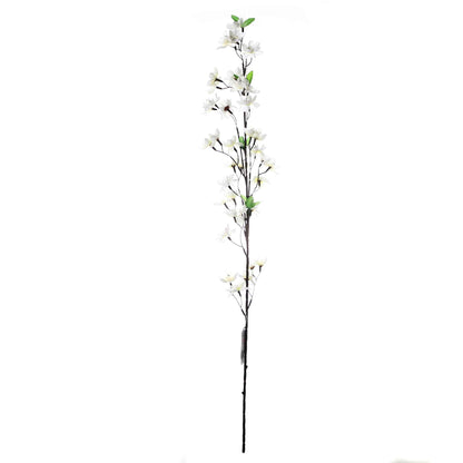 Flower Blossom