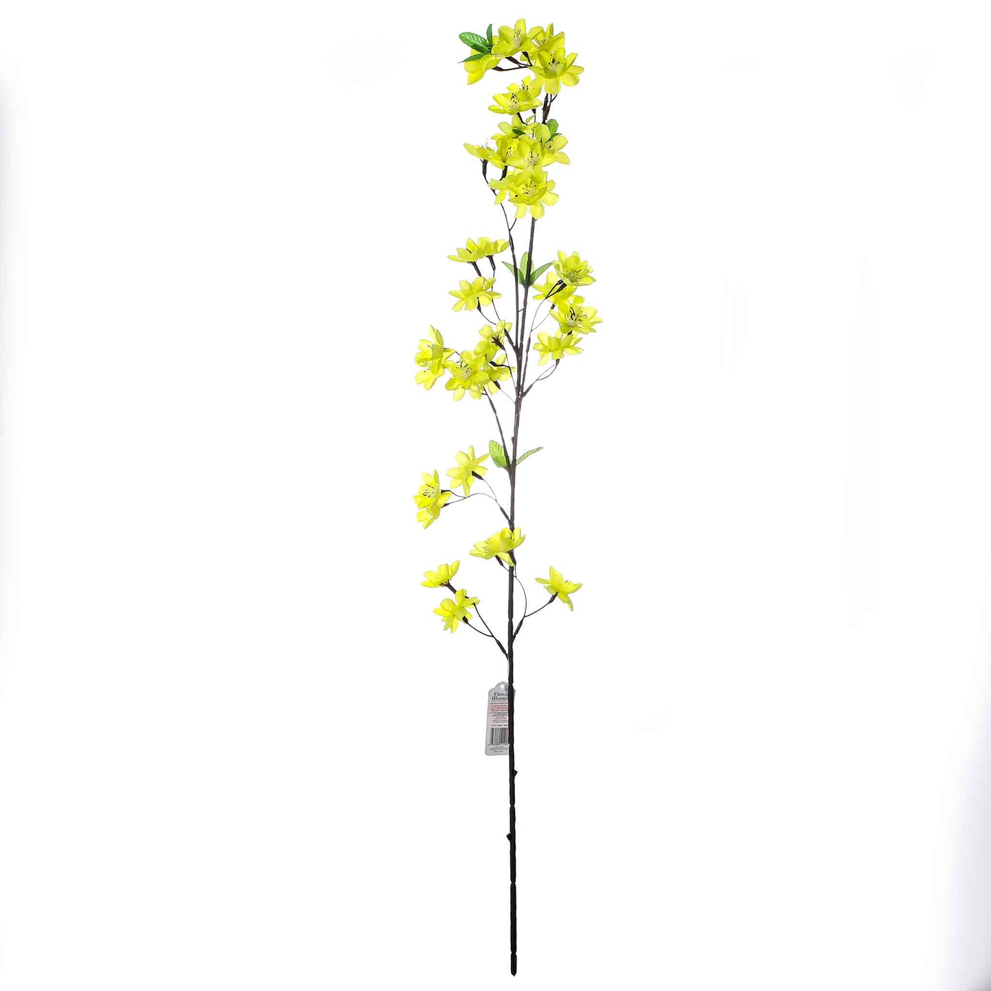 Flower Blossom