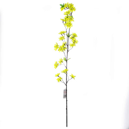 Flower Blossom