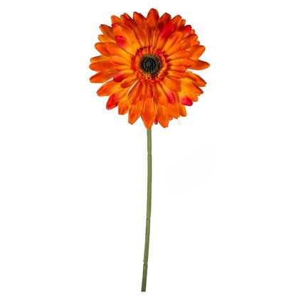 Single Stem Gerbera
