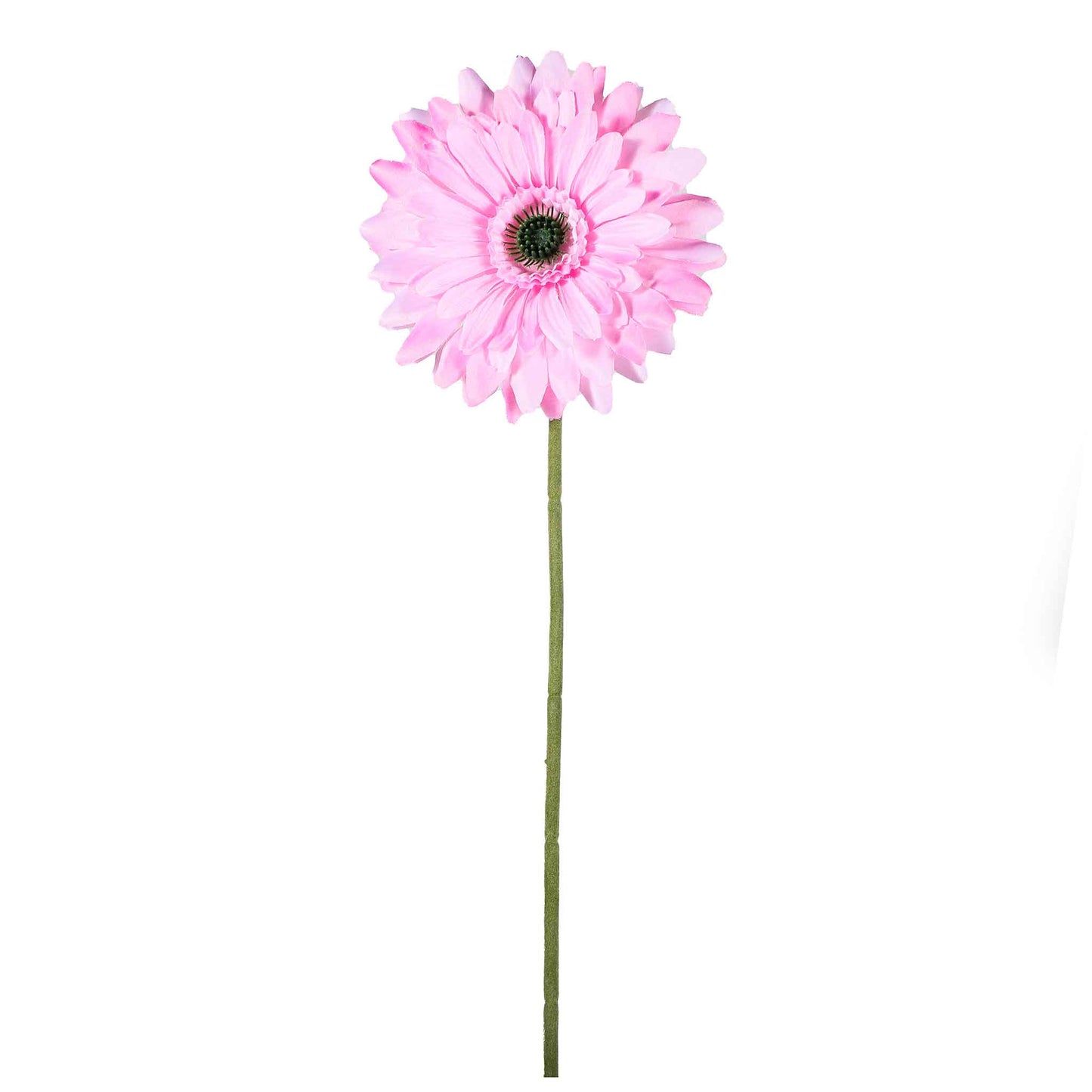 Single Stem Gerbera