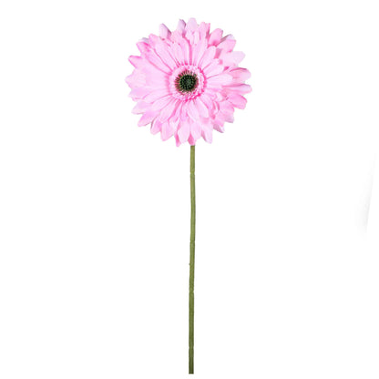 Single Stem Gerbera