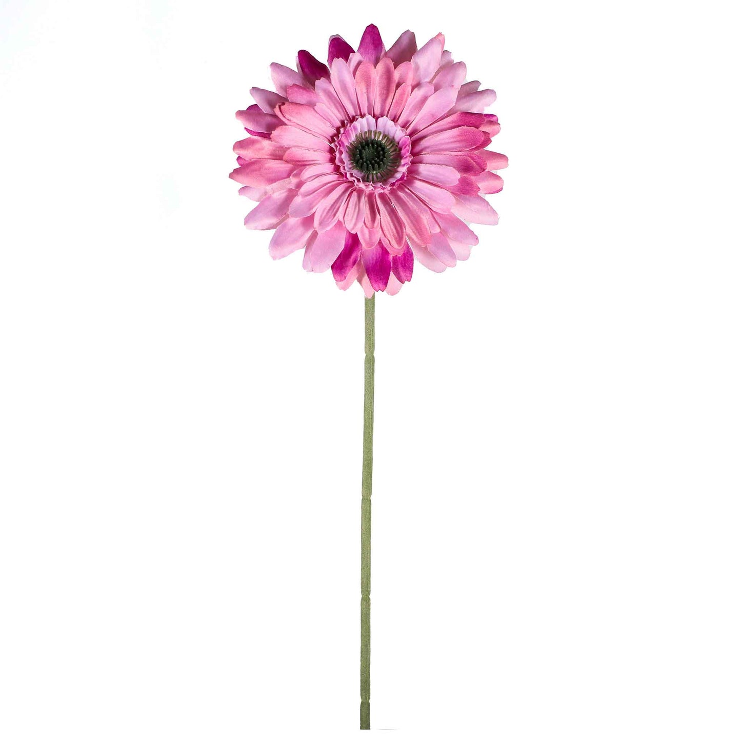 Single Stem Gerbera