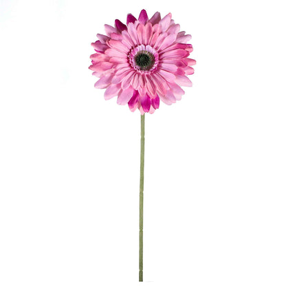 Single Stem Gerbera