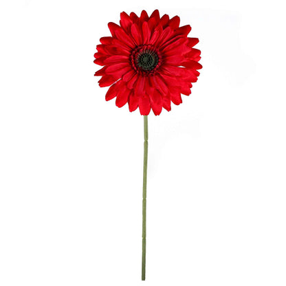 Single Stem Gerbera