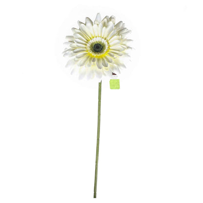 Single Stem Gerbera