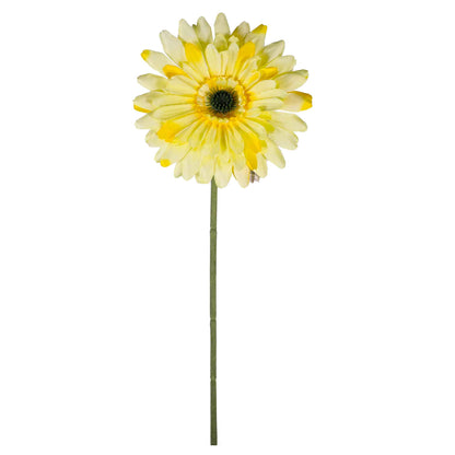 Single Stem Gerbera