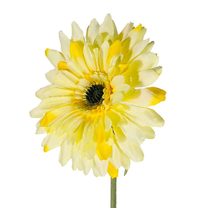 Single Stem Gerbera