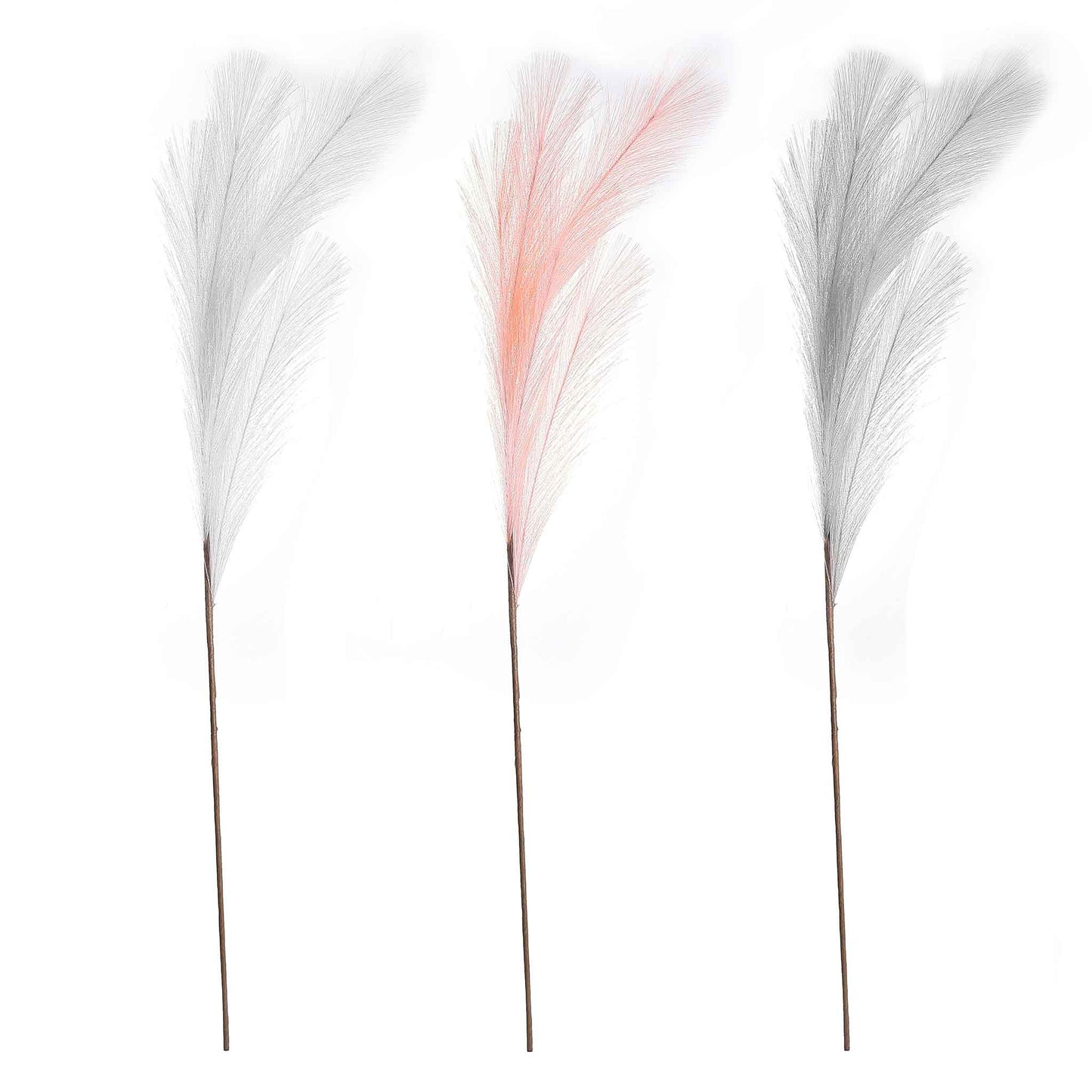 Pampas Grass Assorted 90cm
