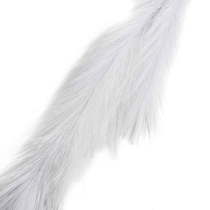 Pampas Grass Assorted 90cm