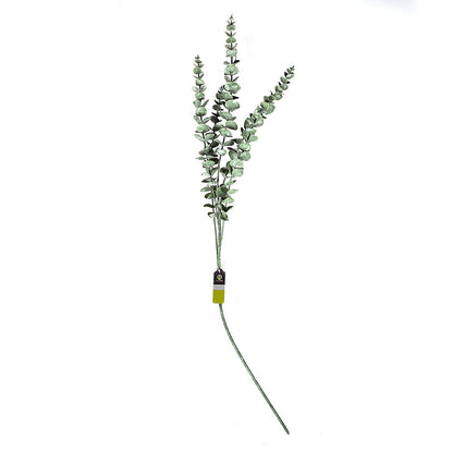 Eucalyptus Stem 90CM
