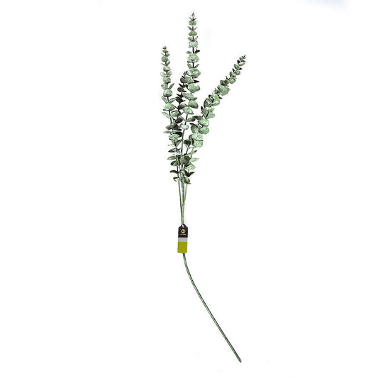 Eucalyptus Stem 90CM