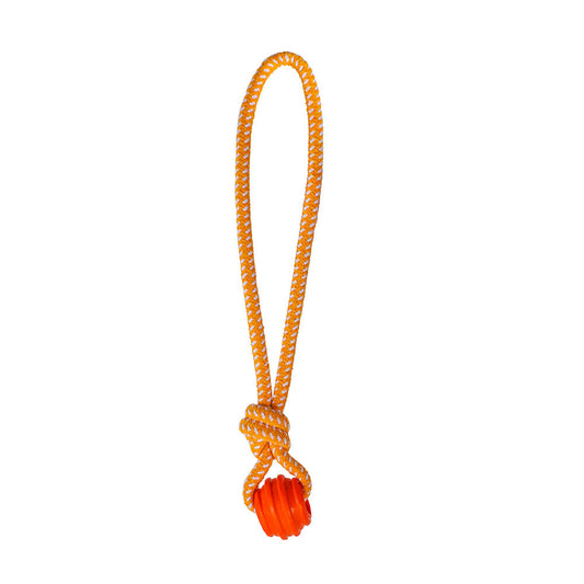 Rope Tug Toy