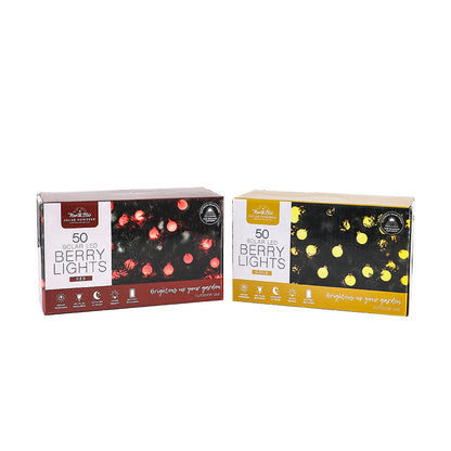 LED Winter Solar Berry Lights 50