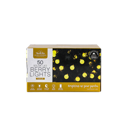 LED Winter Solar Berry Lights 50