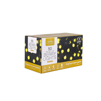 LED Winter Solar Berry Lights 50