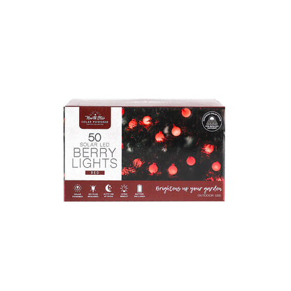 LED Winter Solar Berry Lights 50