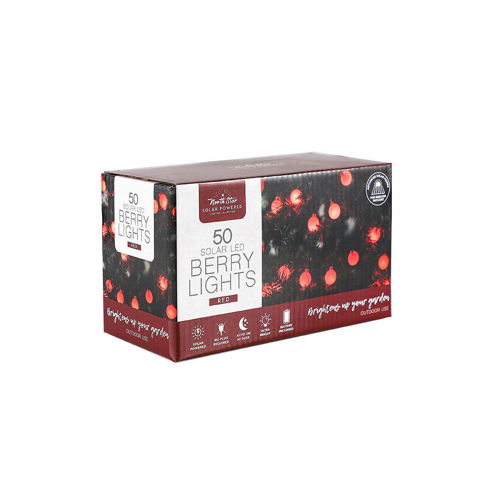 LED Winter Solar Berry Lights 50