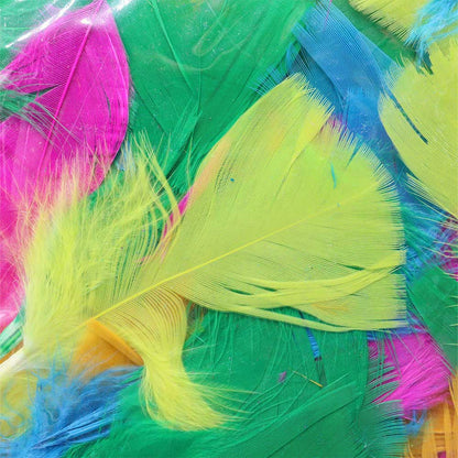 Easter Craft Decorative Feathers Mixed Pack