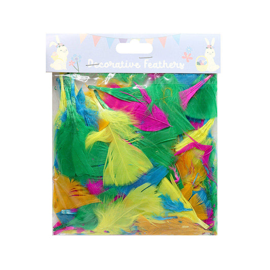 Easter Craft Decorative Feathers Mixed Pack