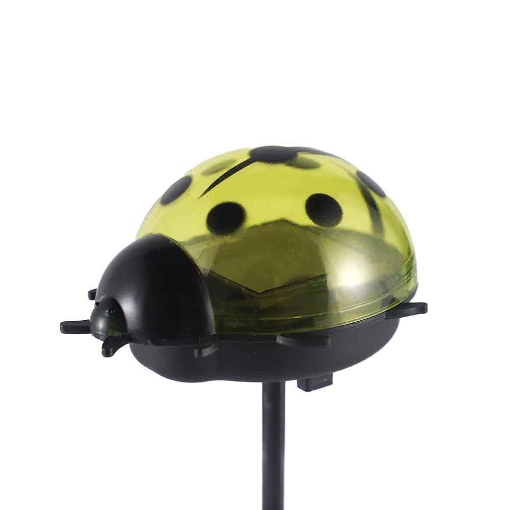 Solar Ladybird Bright White Light