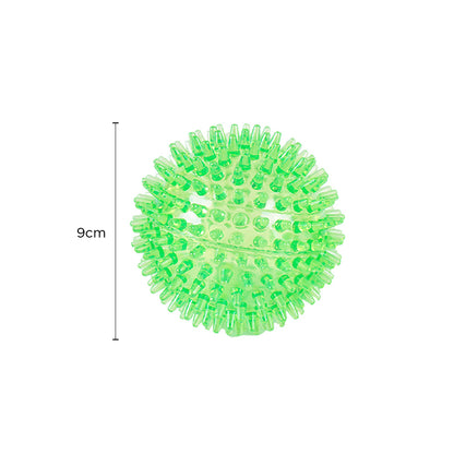 Rubber Bone & Spiky Ball Dog Toy