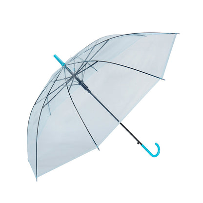 Dome Umbrella