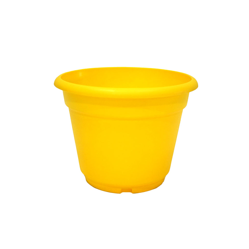 Plastic Summer Plant Pot 22Cm X 18Cm