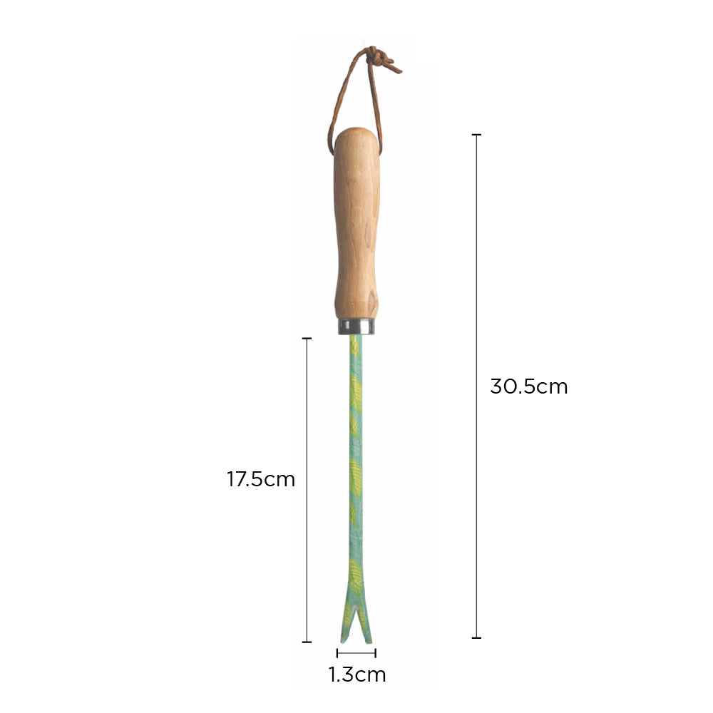 Hand Weeder