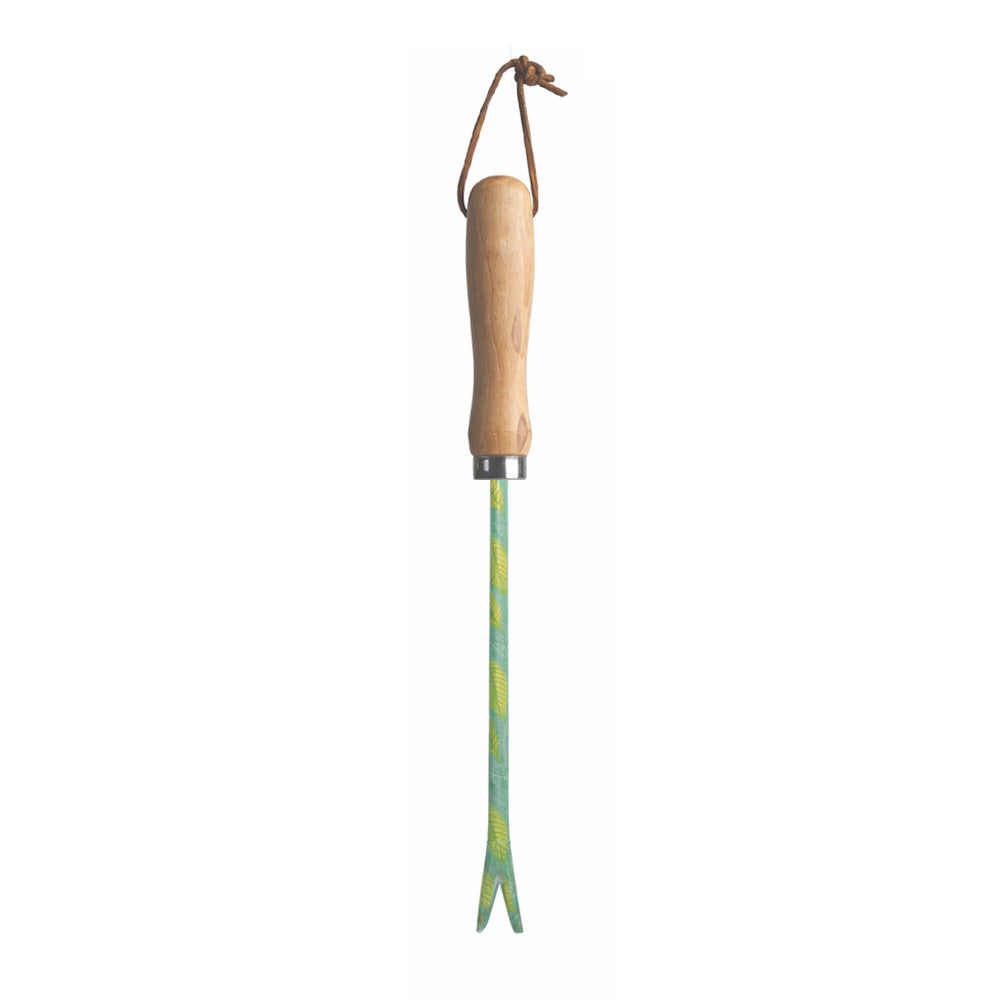 Hand Weeder