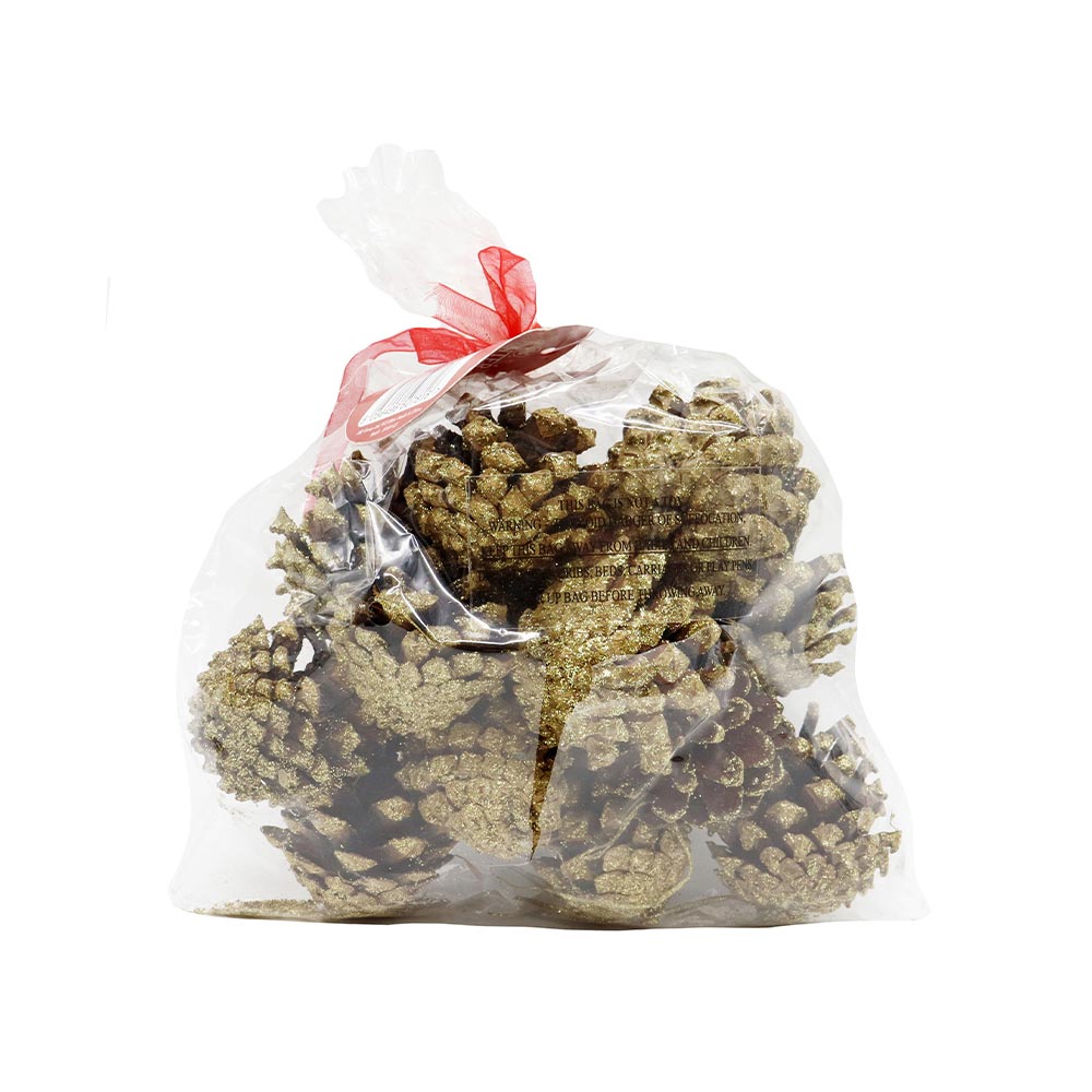 Pinecones 15 Pack