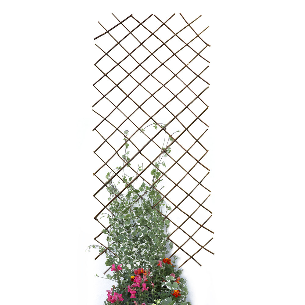 Expanding Willow Trellis 6*3
