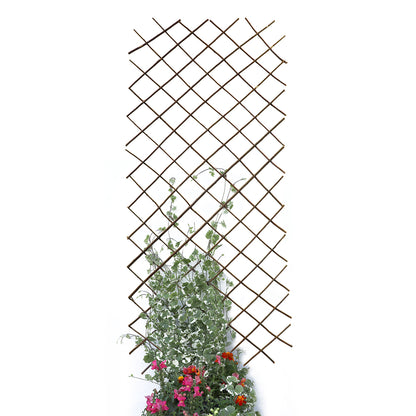 Expanding Willow Trellis 6*3