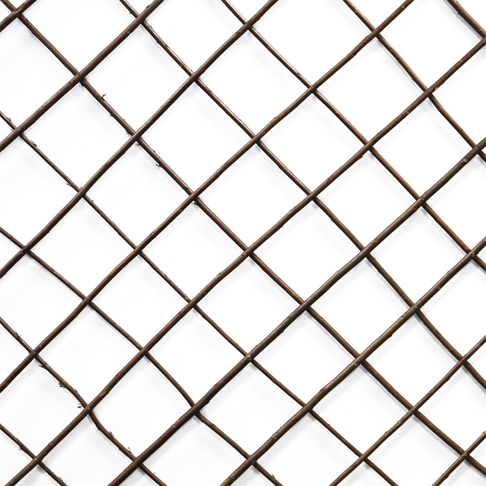 Expanding Willow Trellis 6*3