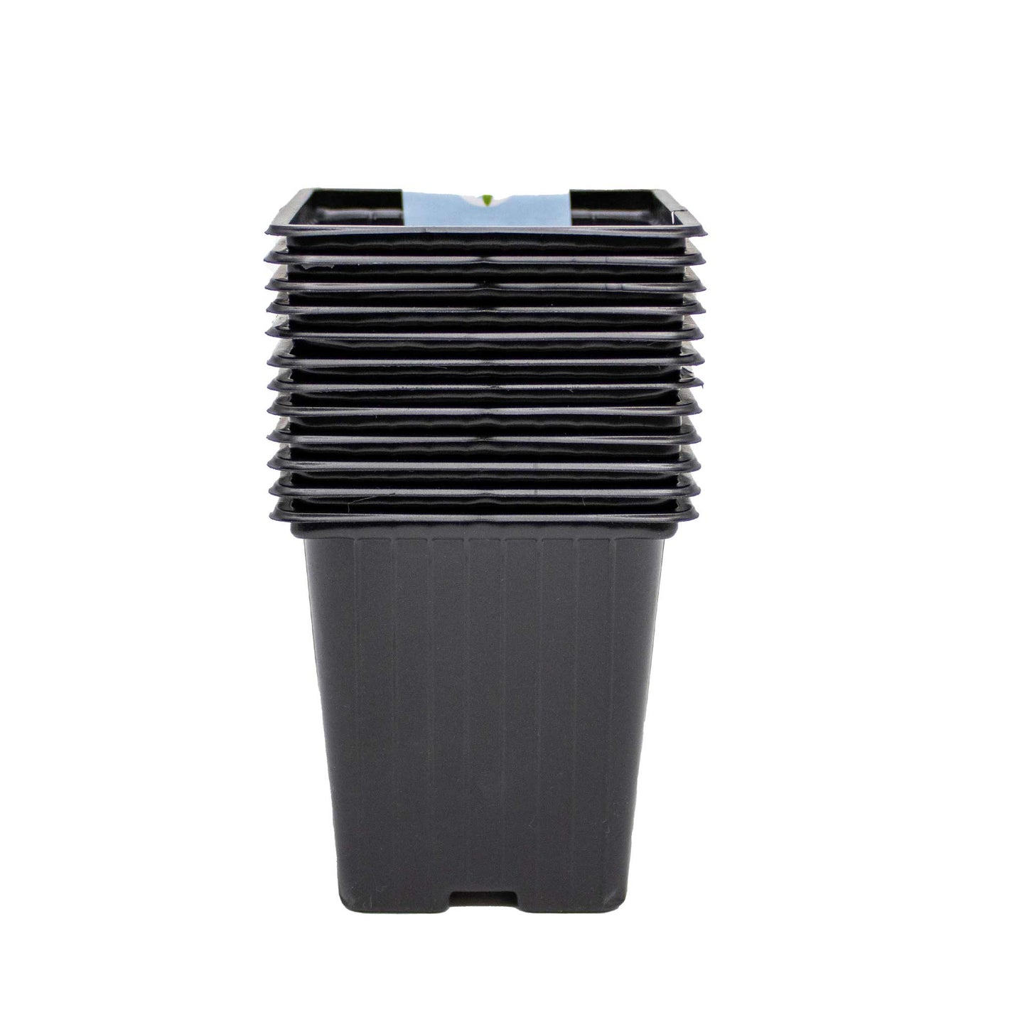 Square Black Pots 9cm 12PK