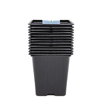 Square Black Pots 9cm 12PK