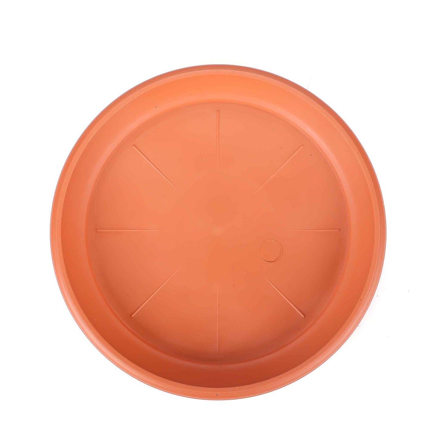 Small Saucer 23.5cm