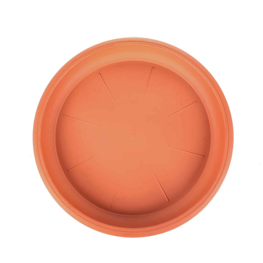 Medium Saucer 27cm