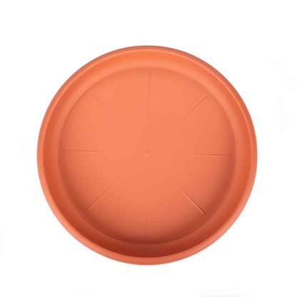 Large Saucer 33cm