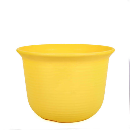 Colours Tub Small