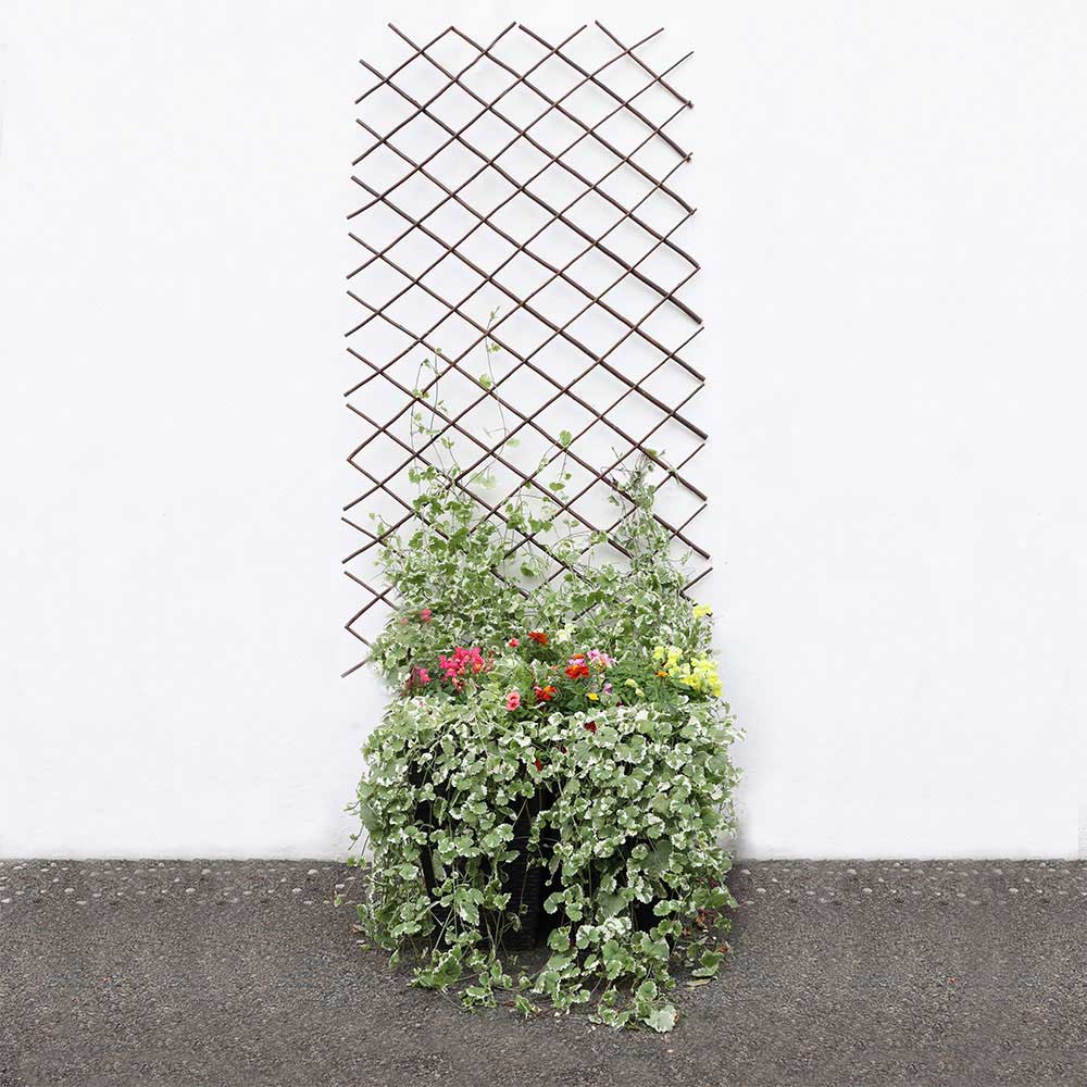 Expanding Willow Trellis 6FTx2FT