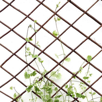 Expanding Willow Trellis 6FTx2FT