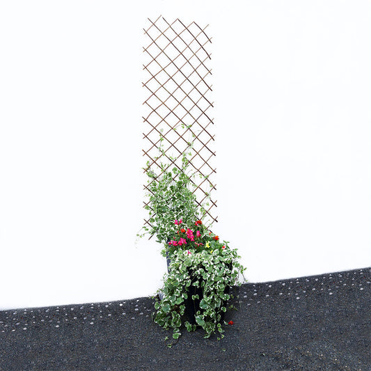 Expanding Willow Trellis 6FTx1FT
